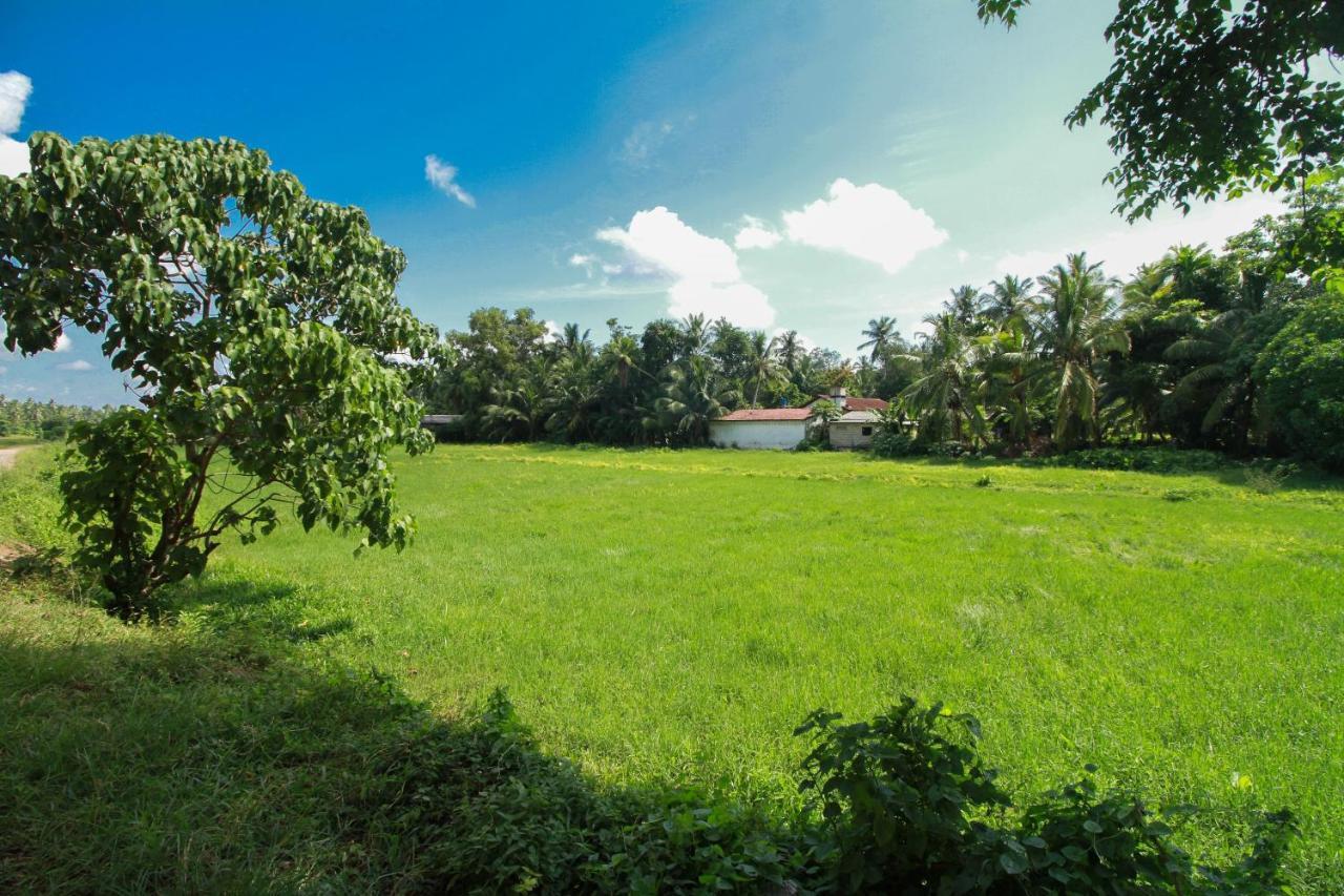 Airport Green View Resort Andiambalama Extérieur photo